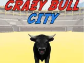 Crazy Bull City