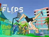 Mr Flip
